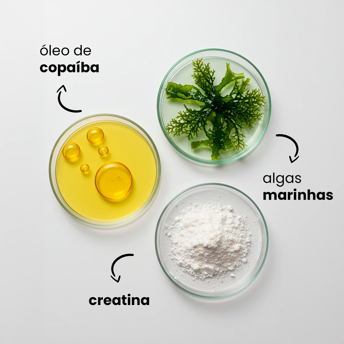 Imagem do produto 5